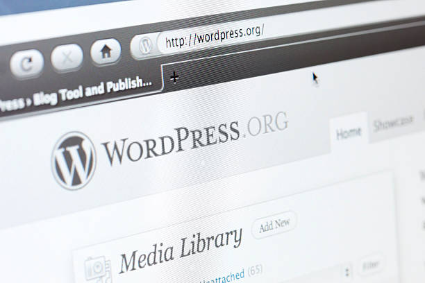 10 Things You Should Know Before Hiring WordPress Developer